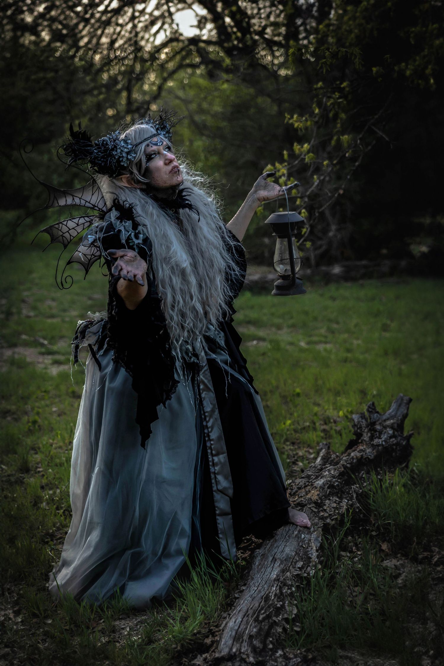 A dark fairy wanders through the woods.