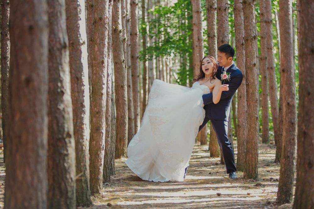 Romantic wedding couple pose in a pine tree forest path.