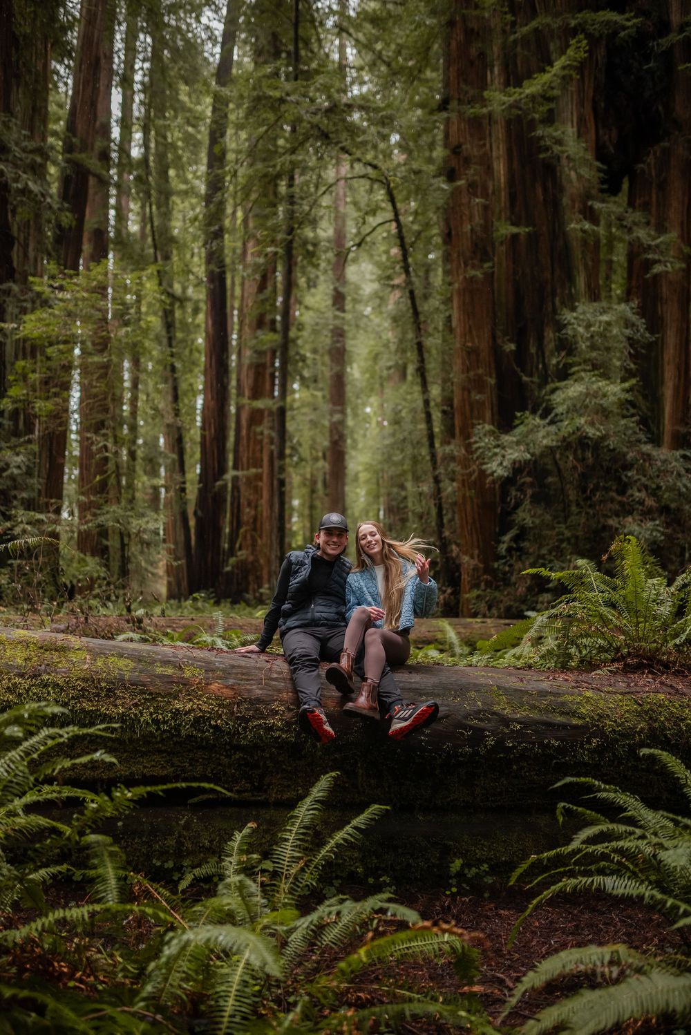 Couple sitting together on fallen log in lush redwood forest surrounded by ferns.
