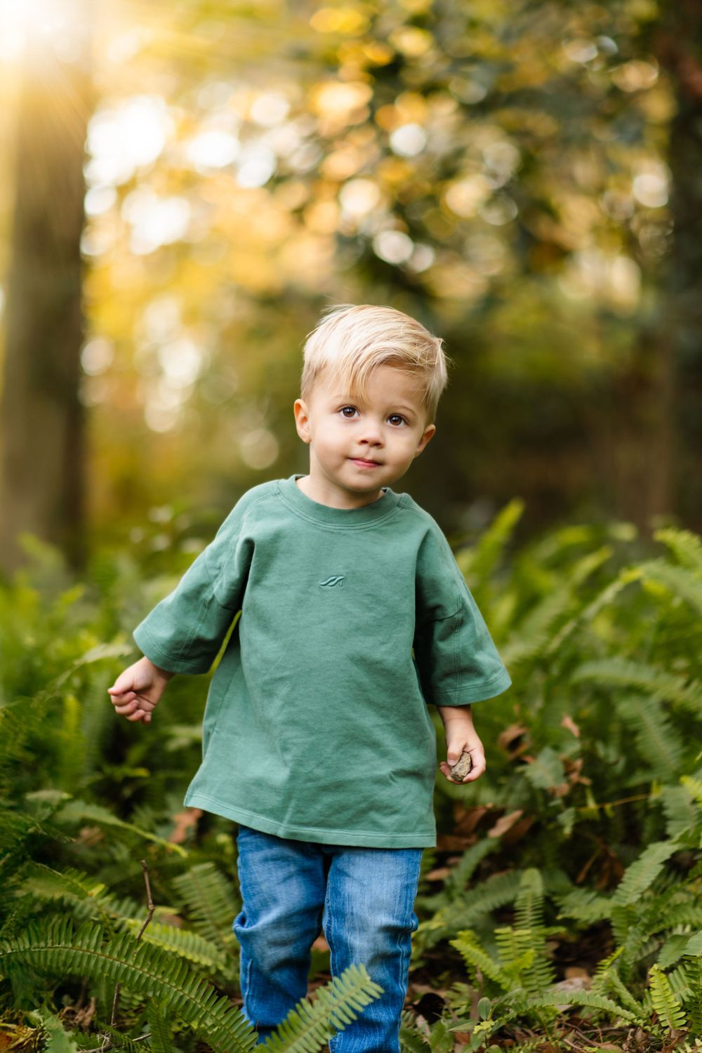 A small child in a green sweatshirt and jeans stands among ferns in a sunlit forest setting.