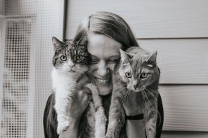 A row of five gray cats with similar markings sit together on a windowsill looking in the same direction.