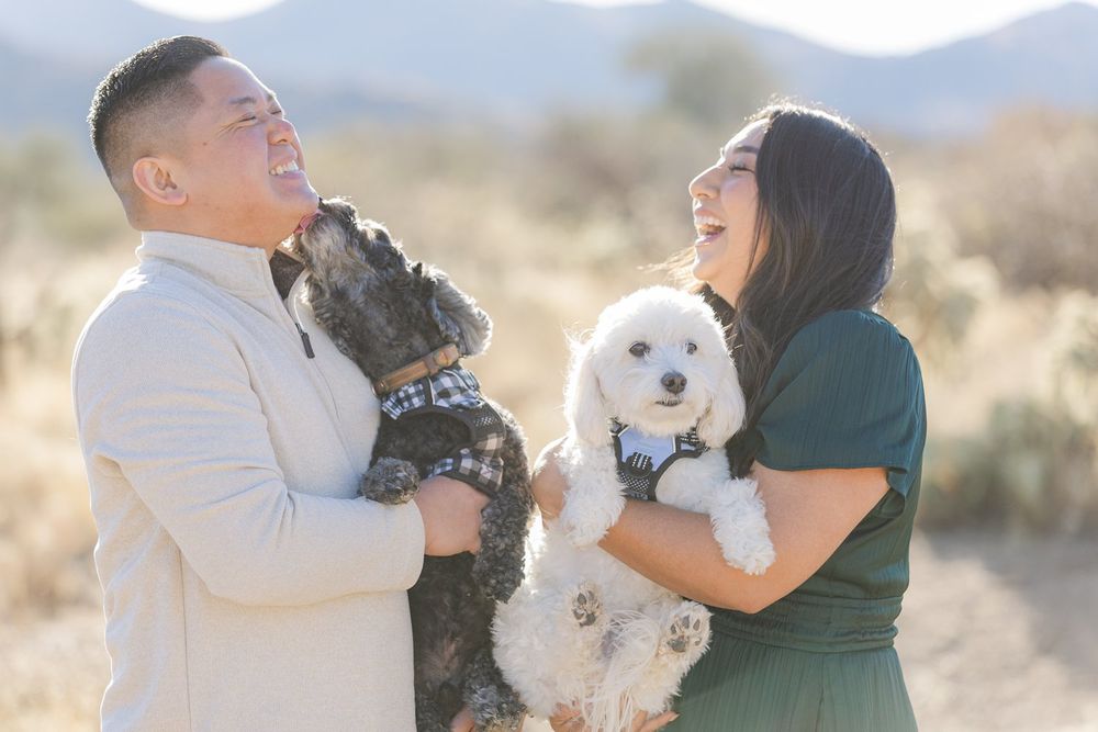 Couple with their dogs in the scenic Tucson desert at golden hour