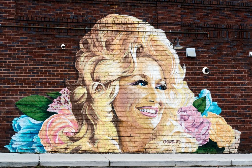 Colorful street mural of a smiling blonde woman with pink and blue roses on a red brick wall.