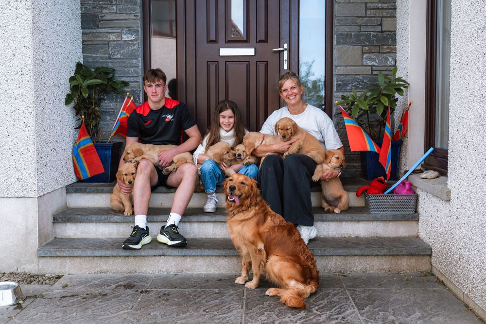 People sit on a porch with golden retriever dogs while taking a break during a summer day.