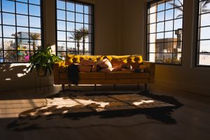 Sun-filled room with tan leather couch and dramatic window shadows.