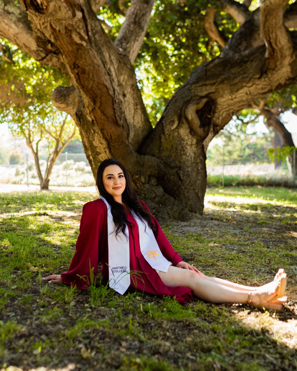 A figure rests against a gnarled tree trunk in a sun-dappled grove wearing a burgundy dress and white tie.