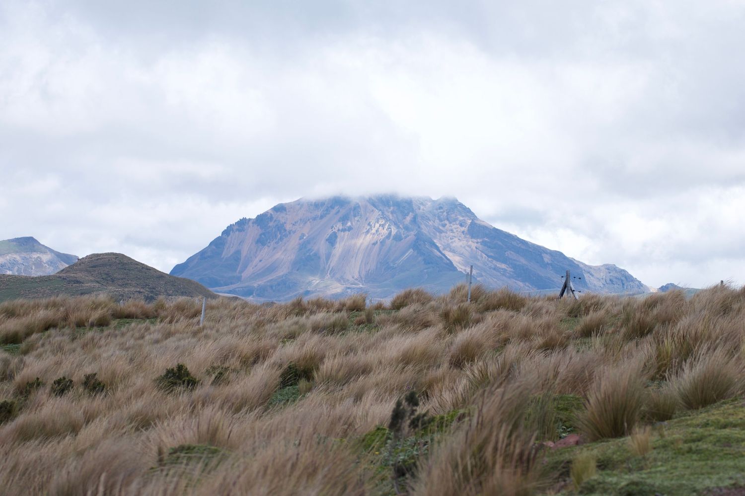 Antisana Ecological Reserve