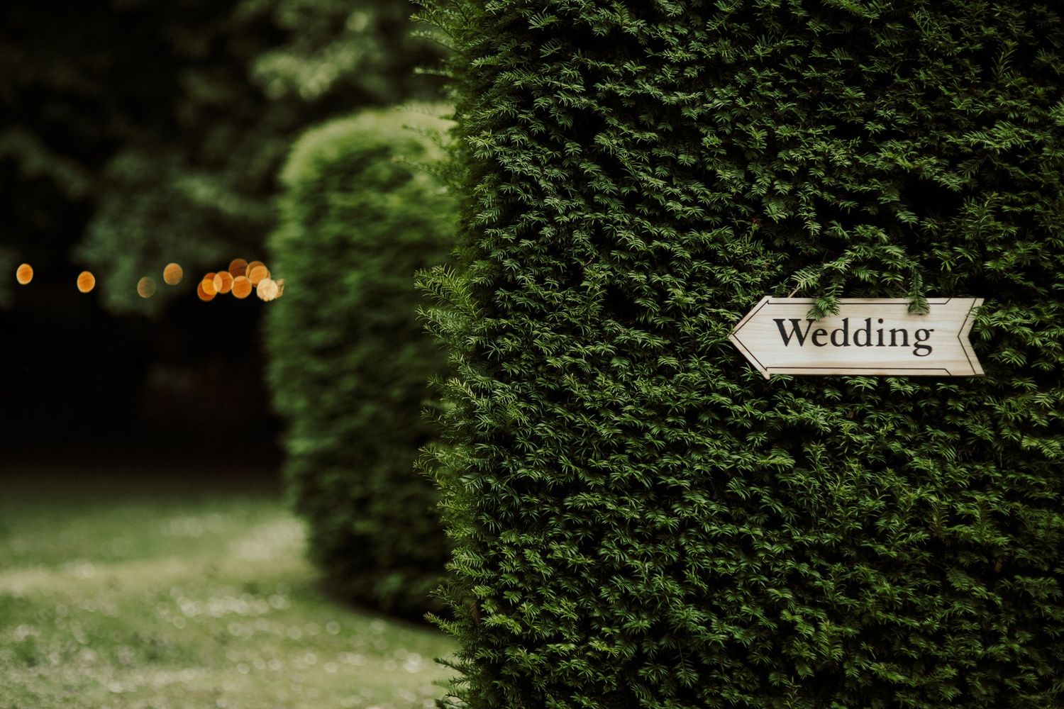 Lush green hedge wall creates a natural backdrop for an outdoor wedding ceremony.
