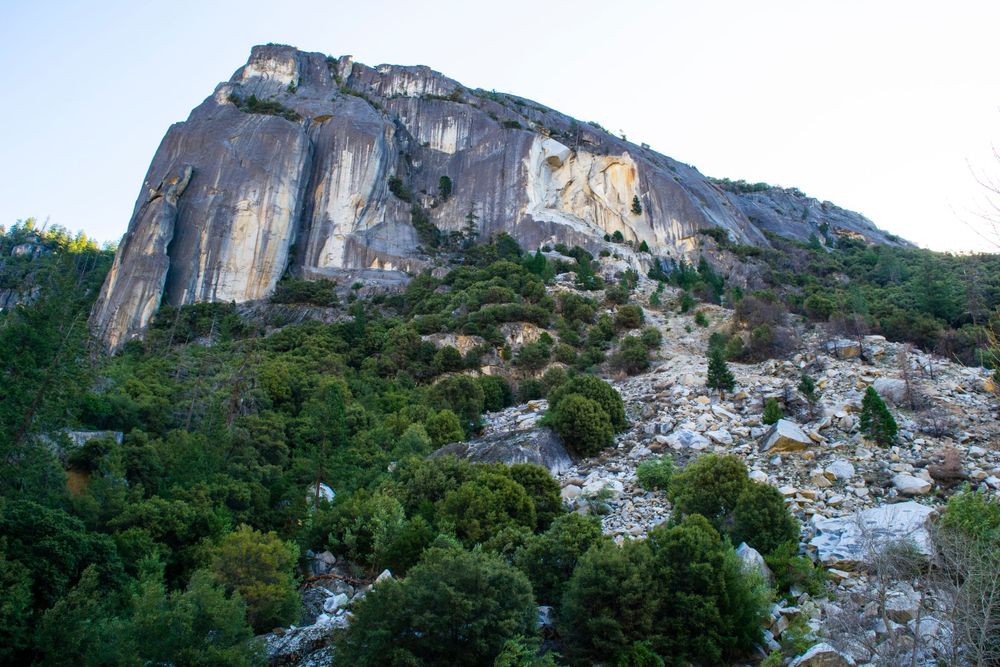 Towering granite cliff face rises above forested mountainside in dramatic afternoon light.