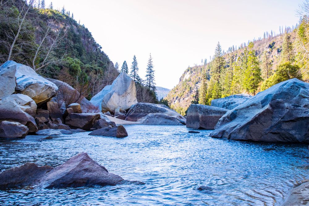 Scenic mountain river flows through rocky canyon with evergreen trees on cliffs.