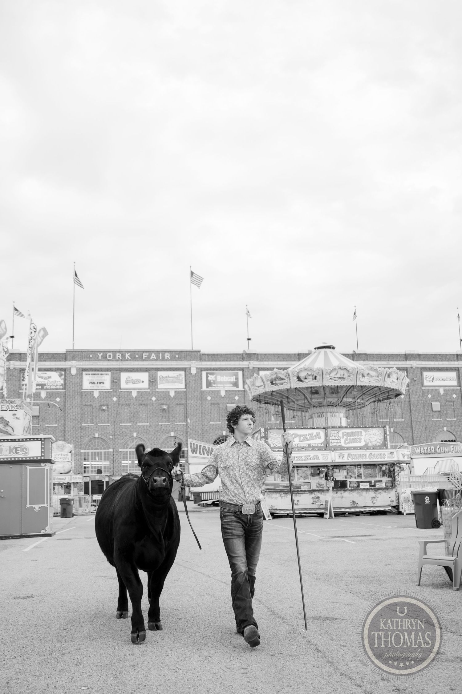 A black show cow being led across a fairground by someone in a vintage black and white photo.