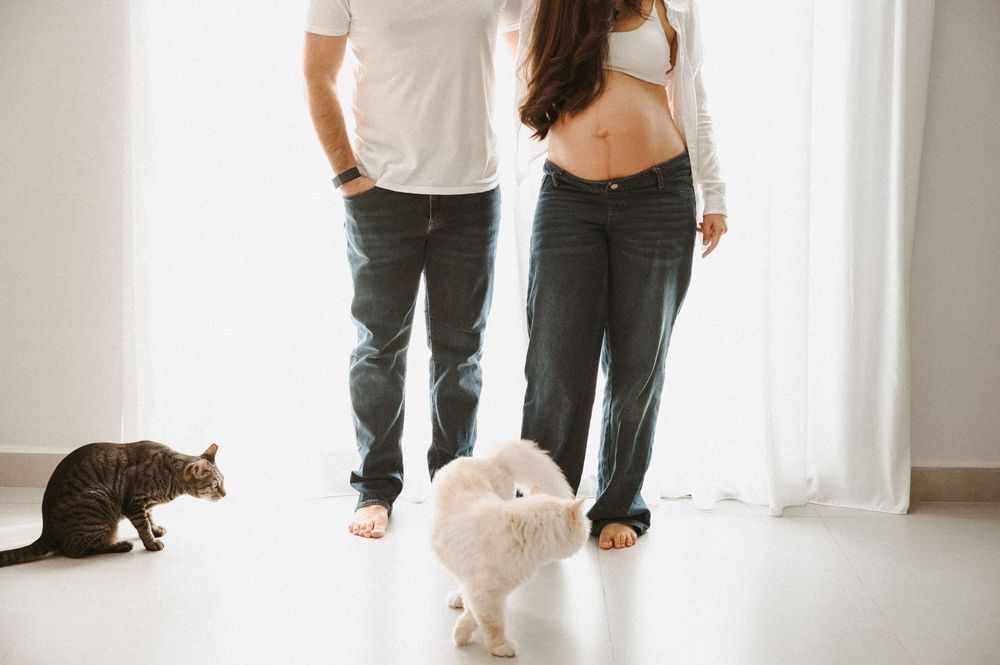 Pregnant couple standing with a white dog and tabby cat in a bright, airy room during a maternity photoshoot.