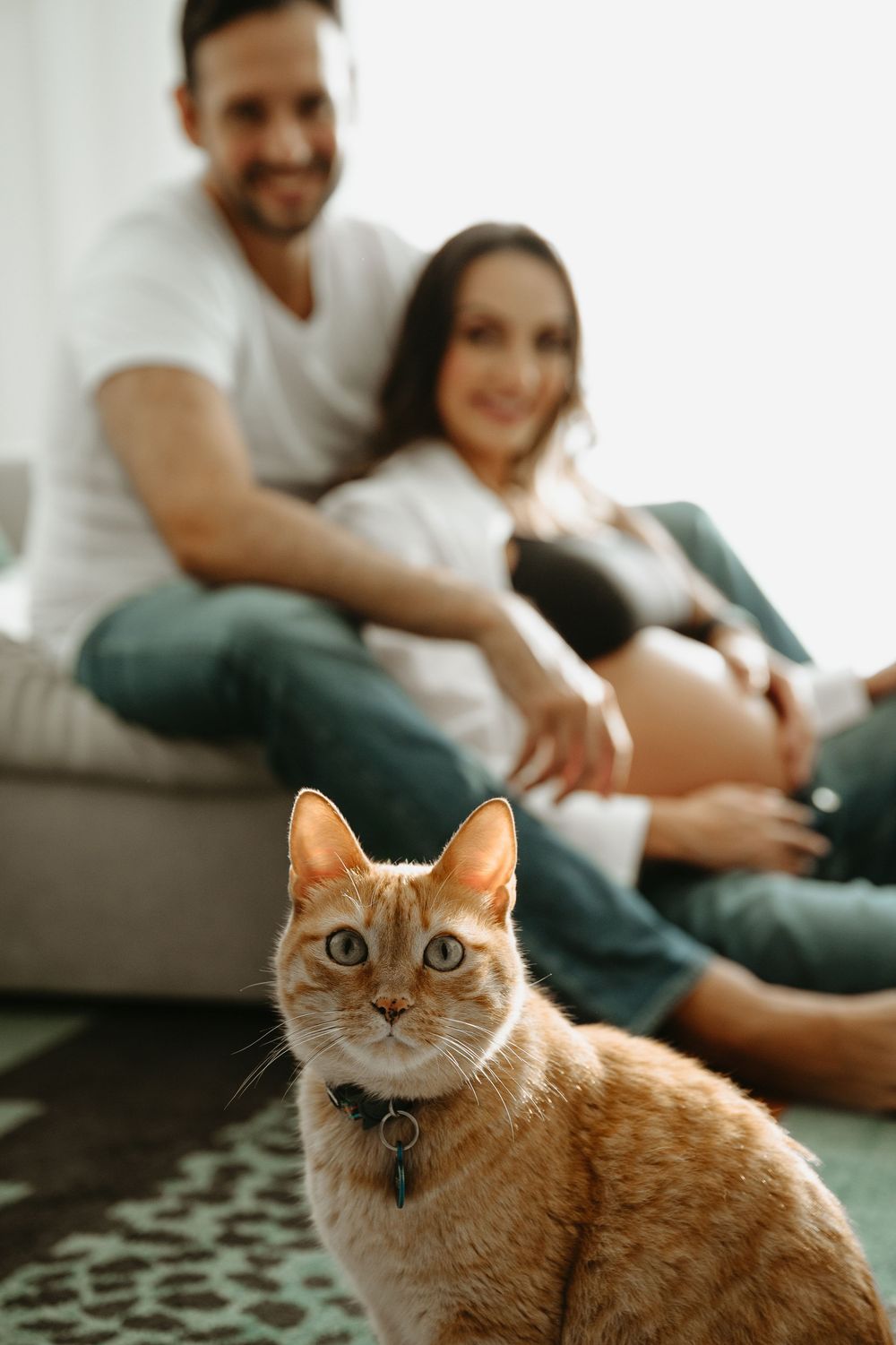 Ginger cat sits in foreground while smiling pregnant couple relaxes on couch behind in bright living room.