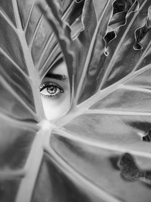 black and white photo art print leaf eye female photography