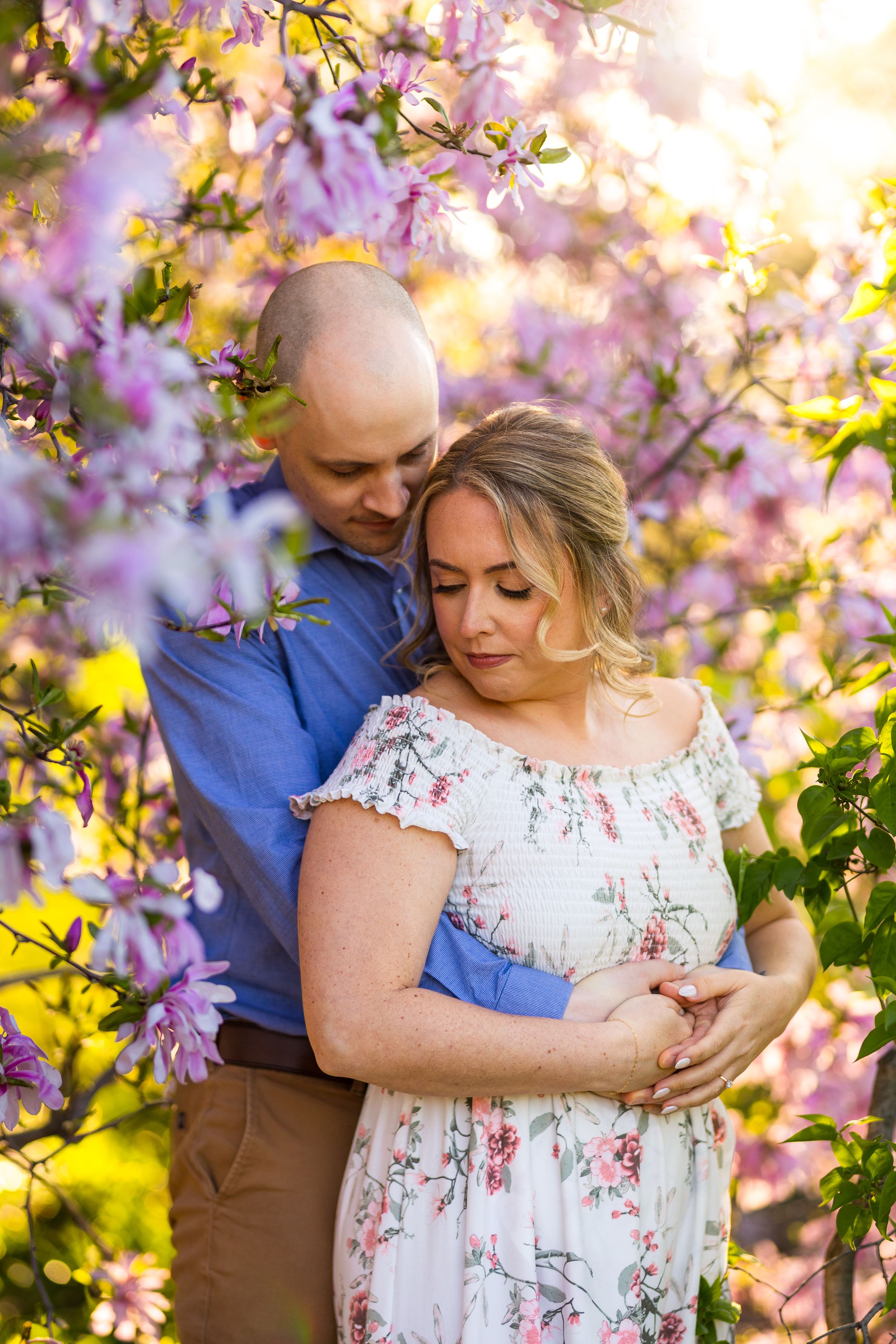 A romantic couple embraces under blooming spring magnolia trees with soft purple blossoms and golden sunlight. Ottawa Wedding Photographer