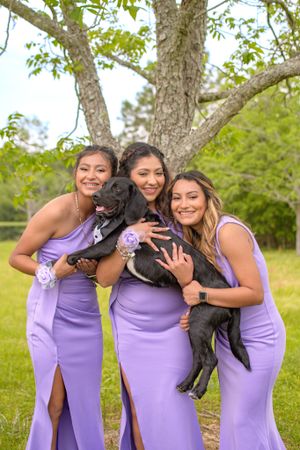 Three bridesmaids in purple dresses pose together while holding a black dog outdoors under a tree.