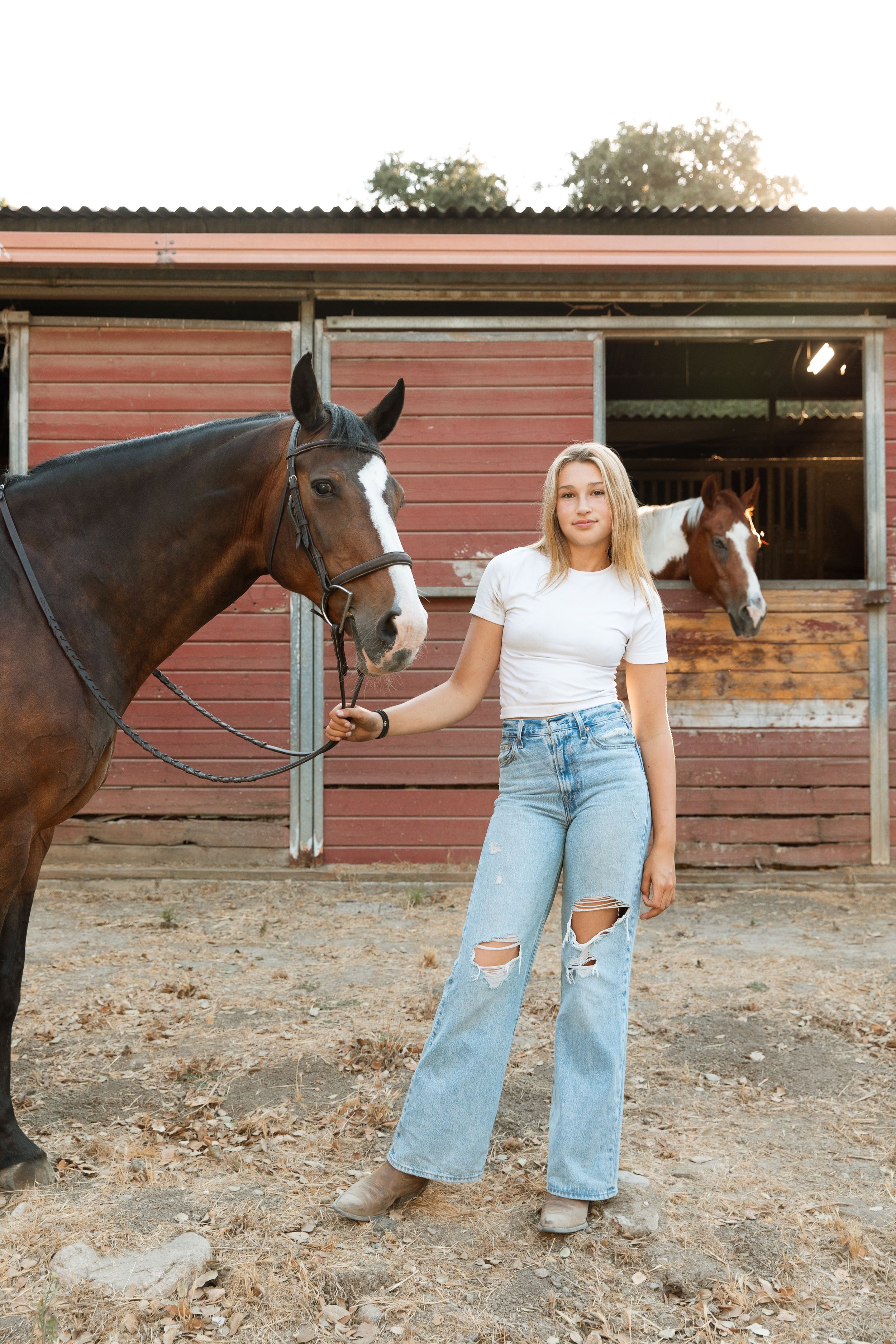 A casual farmhouse scene featuring a person in ripped jeans and white t-shirt standing with two horses by a brown barn.