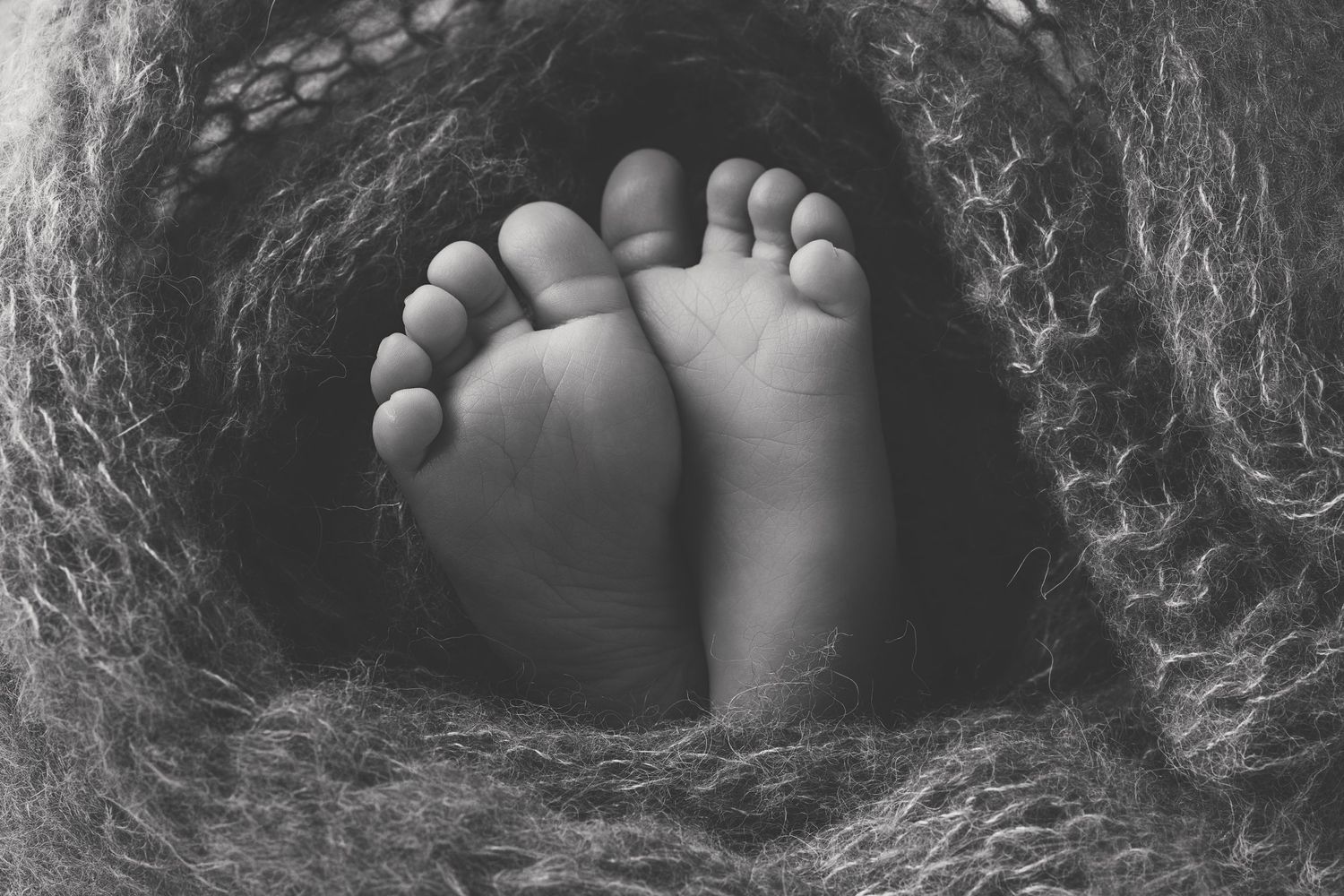 midland tx newborn photographer newborn photographer midland tx photographers midland tx photographer baby toes black and white baby photos
