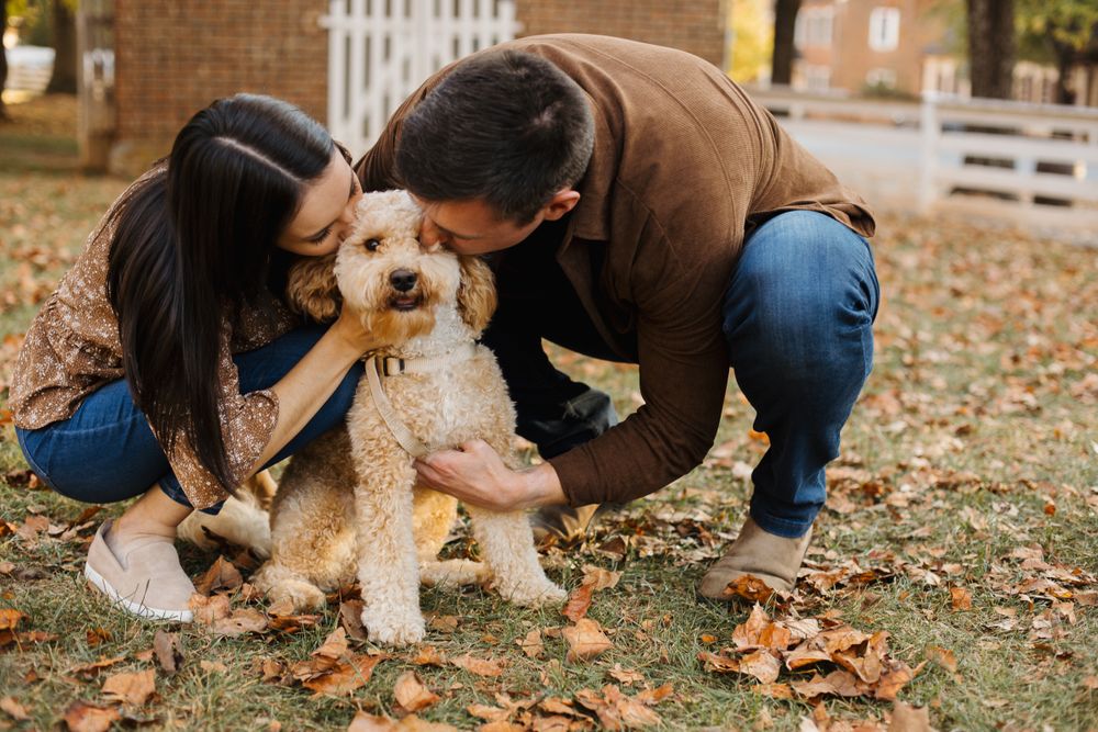 Couple plays with their small dog on fallen leaves during autumn photoshoot.