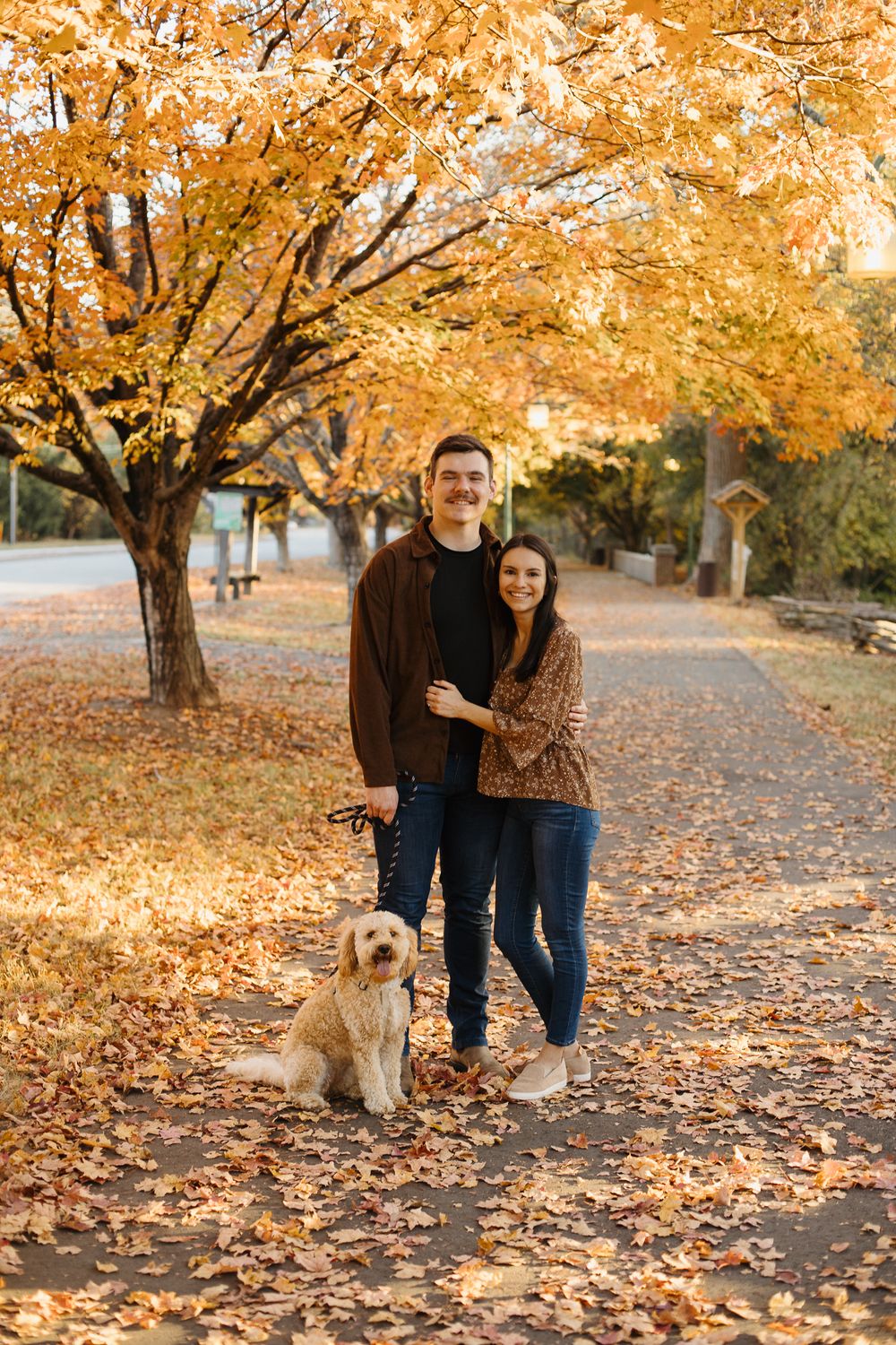 Two people stroll with their dog beneath golden maple trees on a leaf-covered walkway.