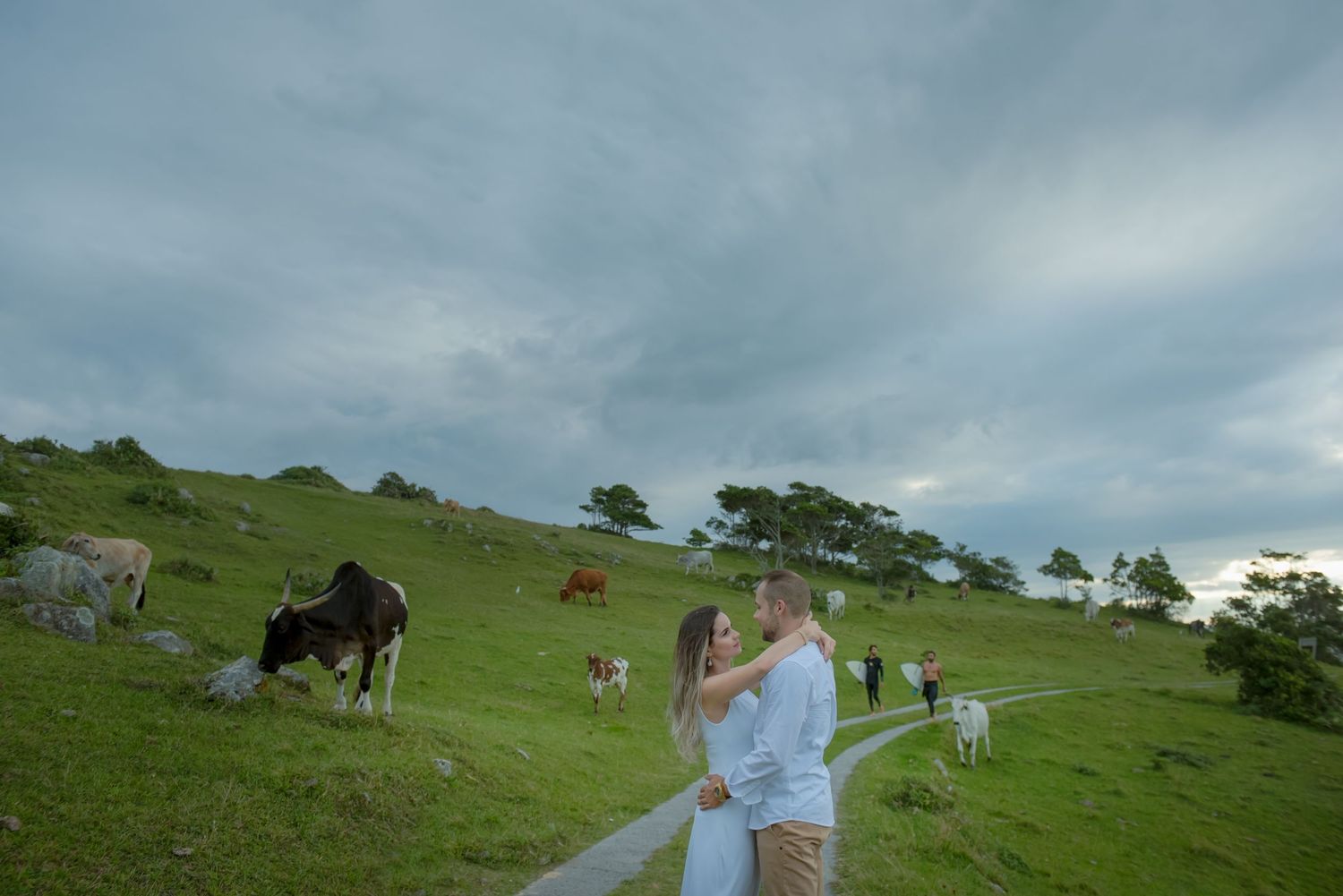 Romantic moment captured on a hilltop path with grazing cows and moody sky in the background.