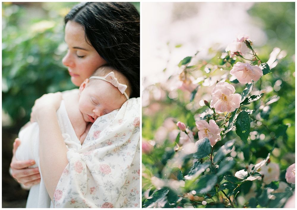 Newborn Photographer Birmingham AL