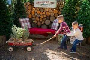 Two children playing with a red wagon at a Christmas tree farm near stacked firewood.