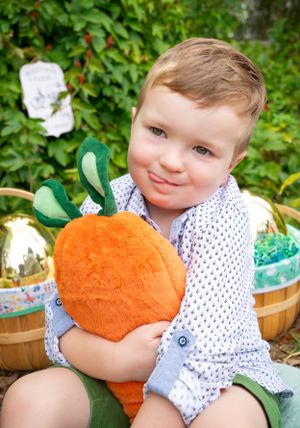A cheerful scene with plush orange carrots and spring garden decorations.