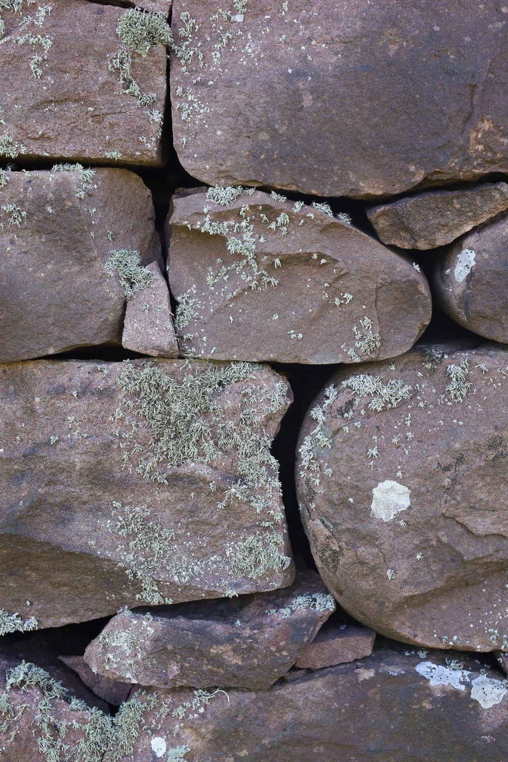 Close-up of weathered stone wall showing natural textures and lichen growth patterns.