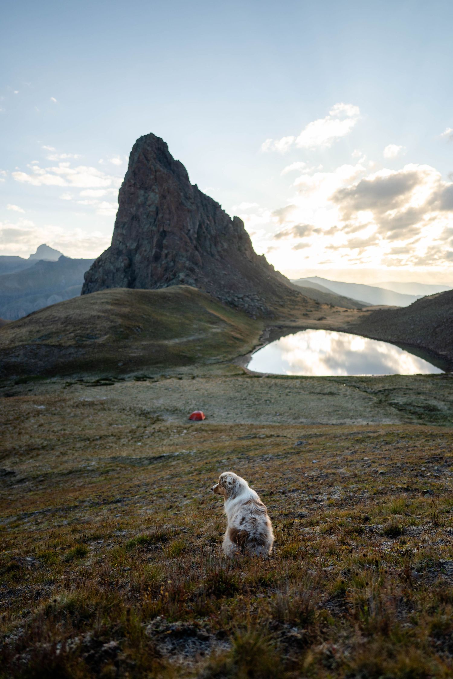 Scenic mountain landscape with dramatic clouds and alpine lake with Australian Shepherd in the San Juan Mountains of Colorado.