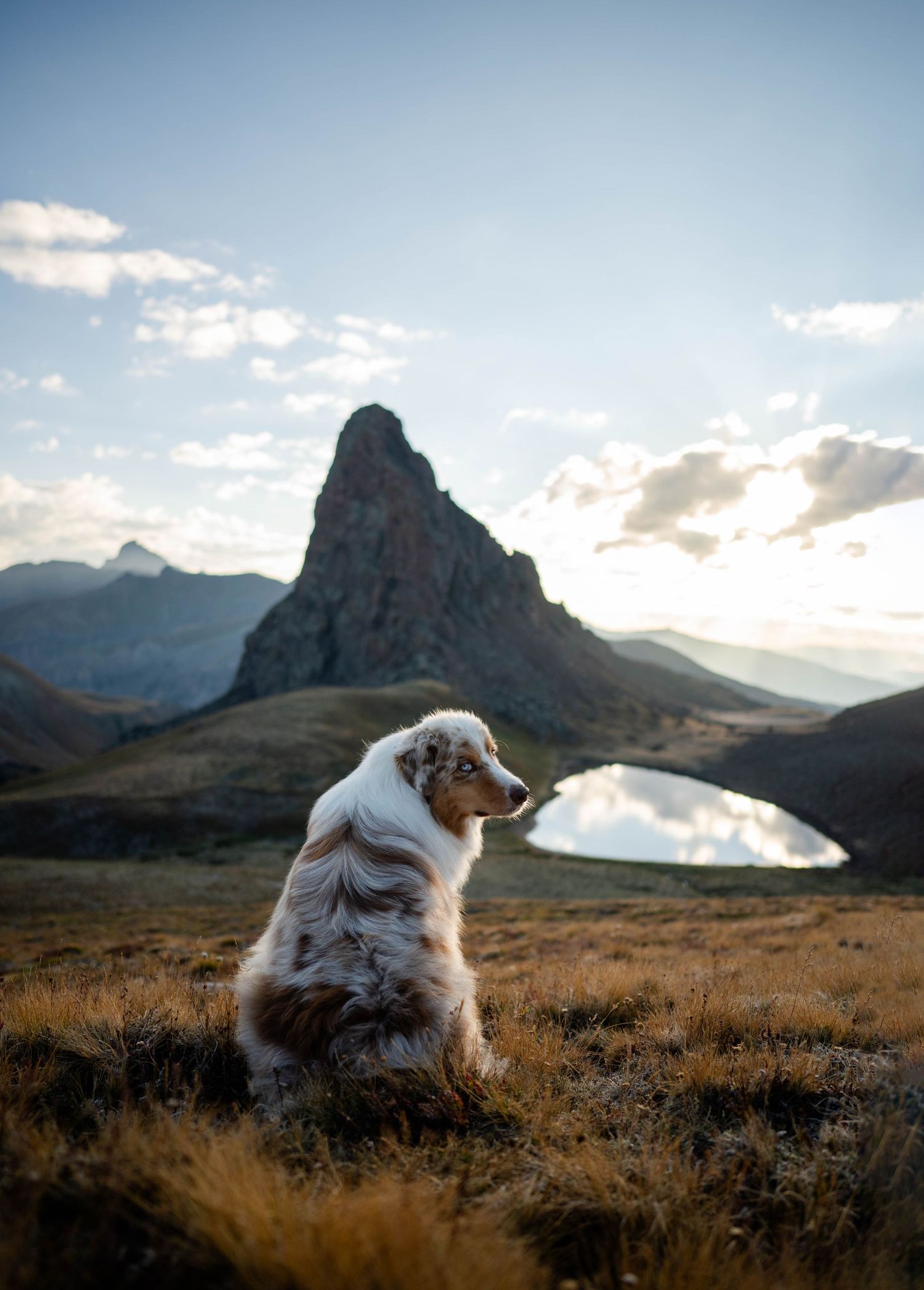 Scenic mountain landscape with dramatic clouds and alpine lake with Australian Shepherd in the San Juan Mountains of Colorado.