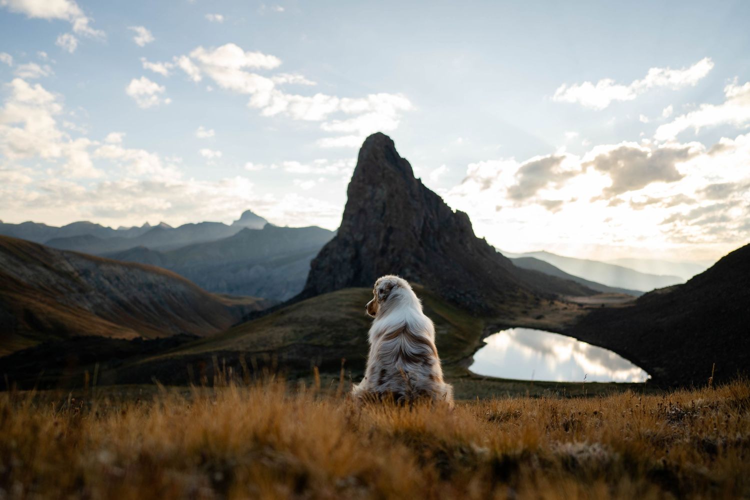 Scenic mountain landscape with dramatic clouds and alpine lake with Australian Shepherd in the San Juan Mountains of Colorado.