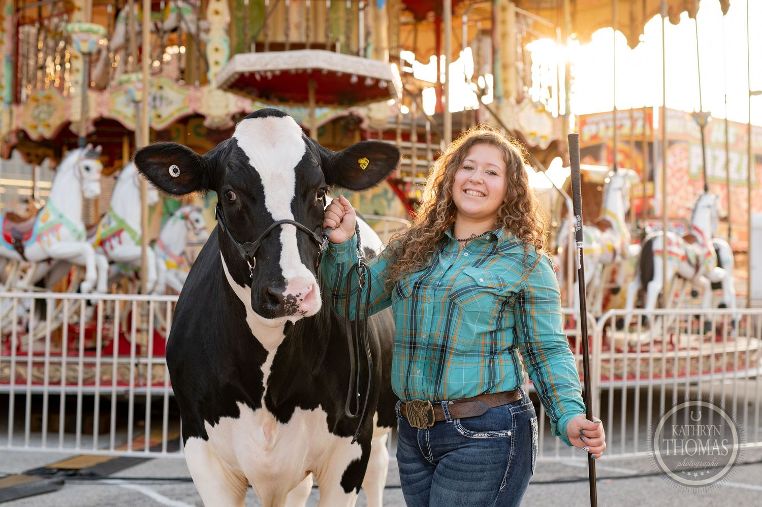 A black and white dairy cow poses with someone in front of a carnival carousel.