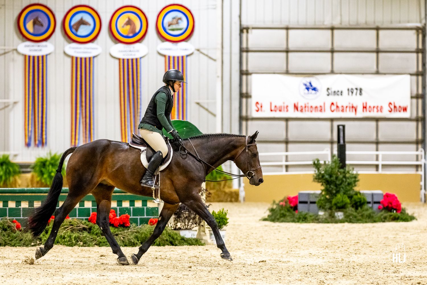 A dressage horse and rider competing in an arena with award ribbons displayed on the wall.