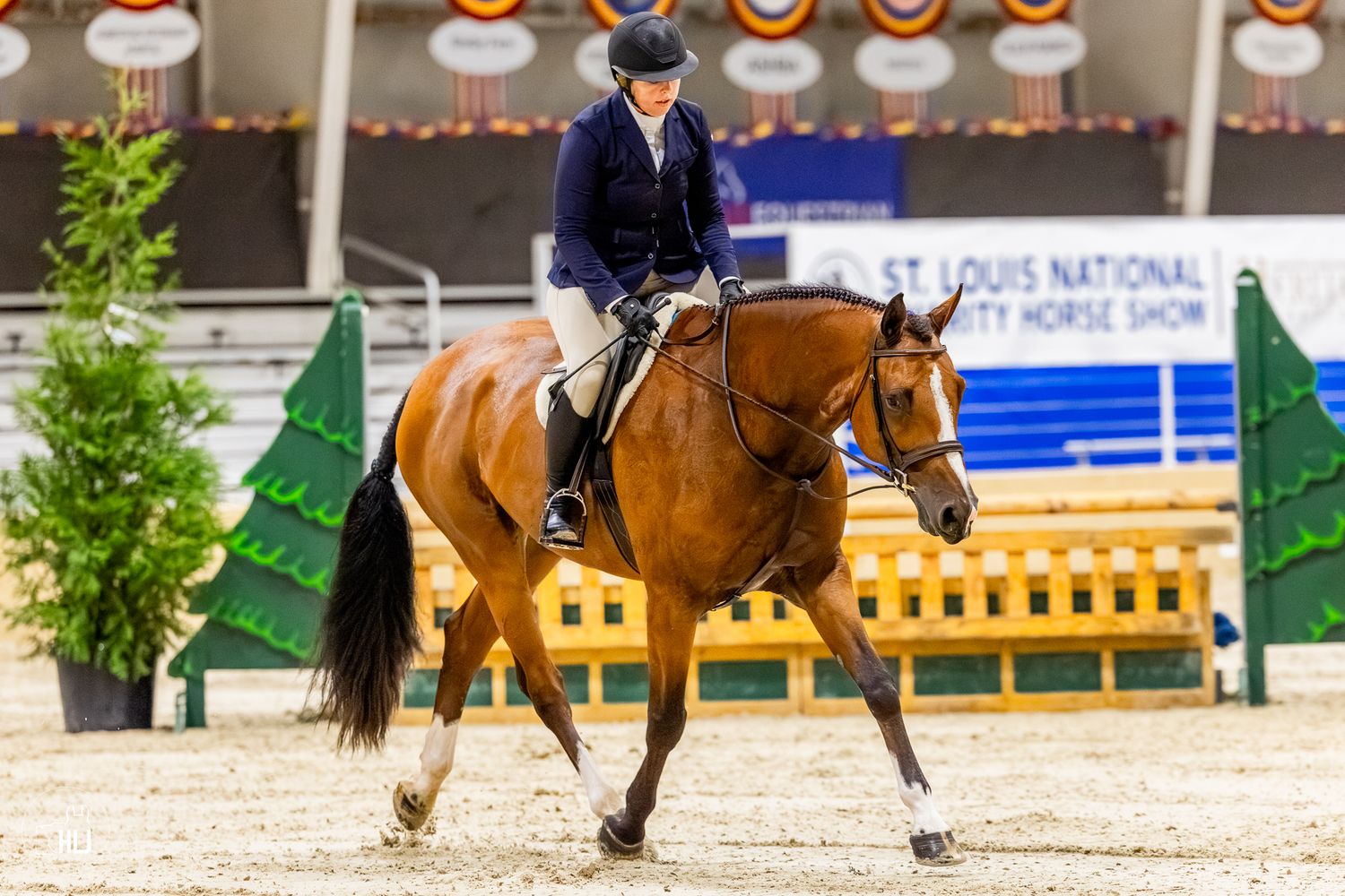A dressage horse and rider competing in an arena with award ribbons displayed on the wall.