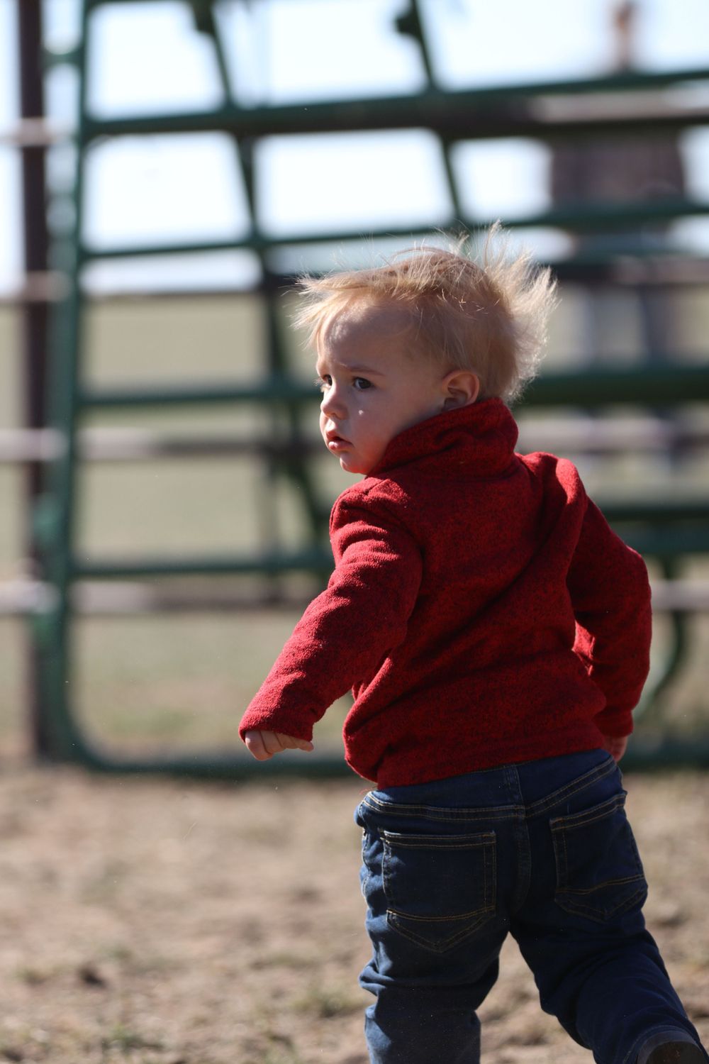 Small child in a red hoodie exploring near rodeo arena gates.