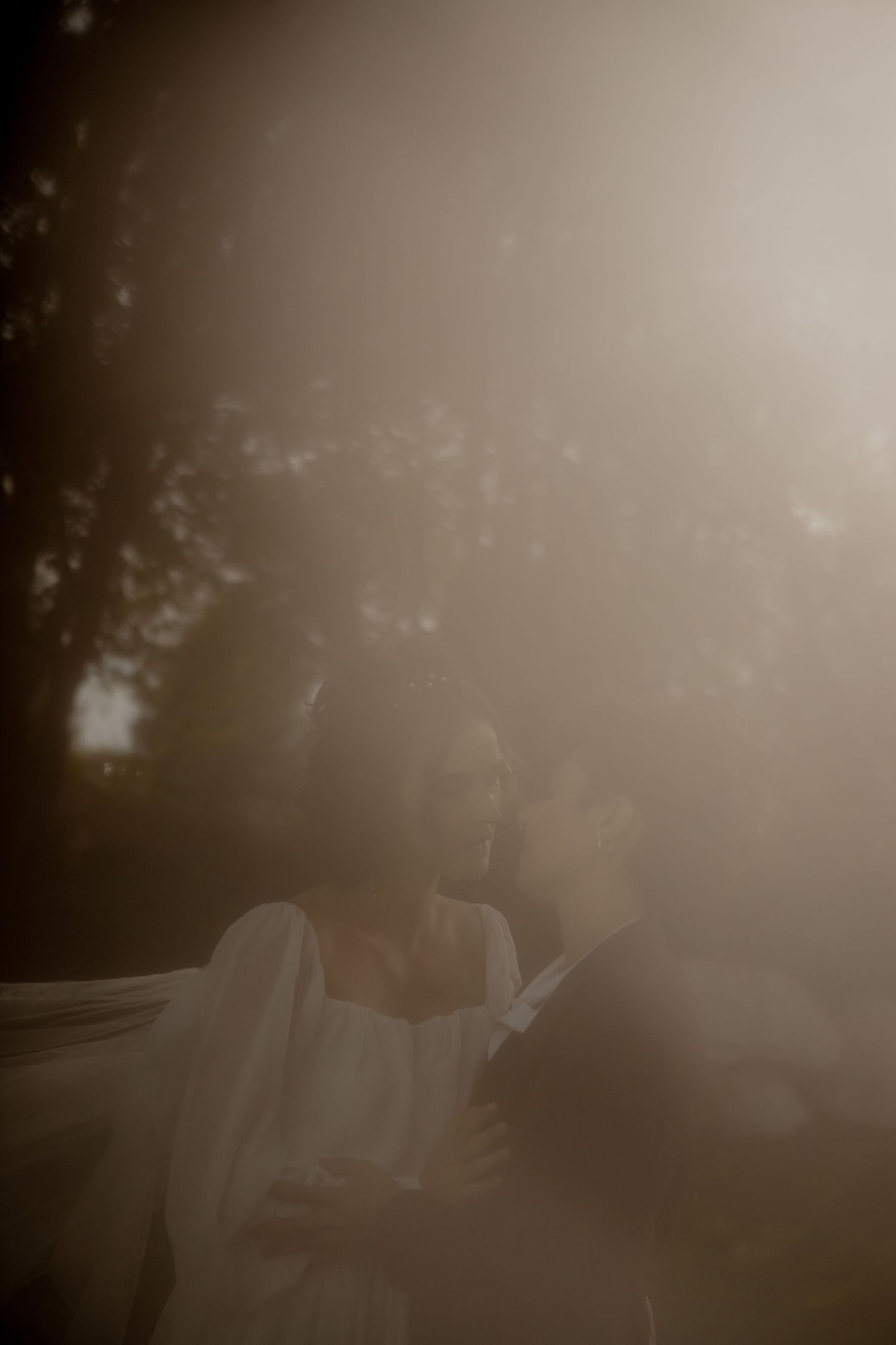 Dreamy sepia-toned photograph showing a misty outdoor scene with soft bokeh effects.