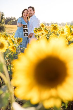 A couple holds an ultrasound photo while standing in a vibrant sunflower field during sunset.