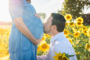 Sweet pregnancy maternity photo in field of blooming sunflowers during golden sunset light.