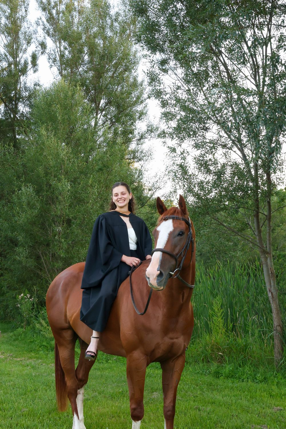 Girl on brown horse in front of lake