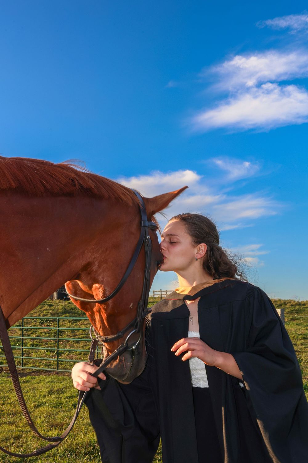 Girl kissing horse in sunlight