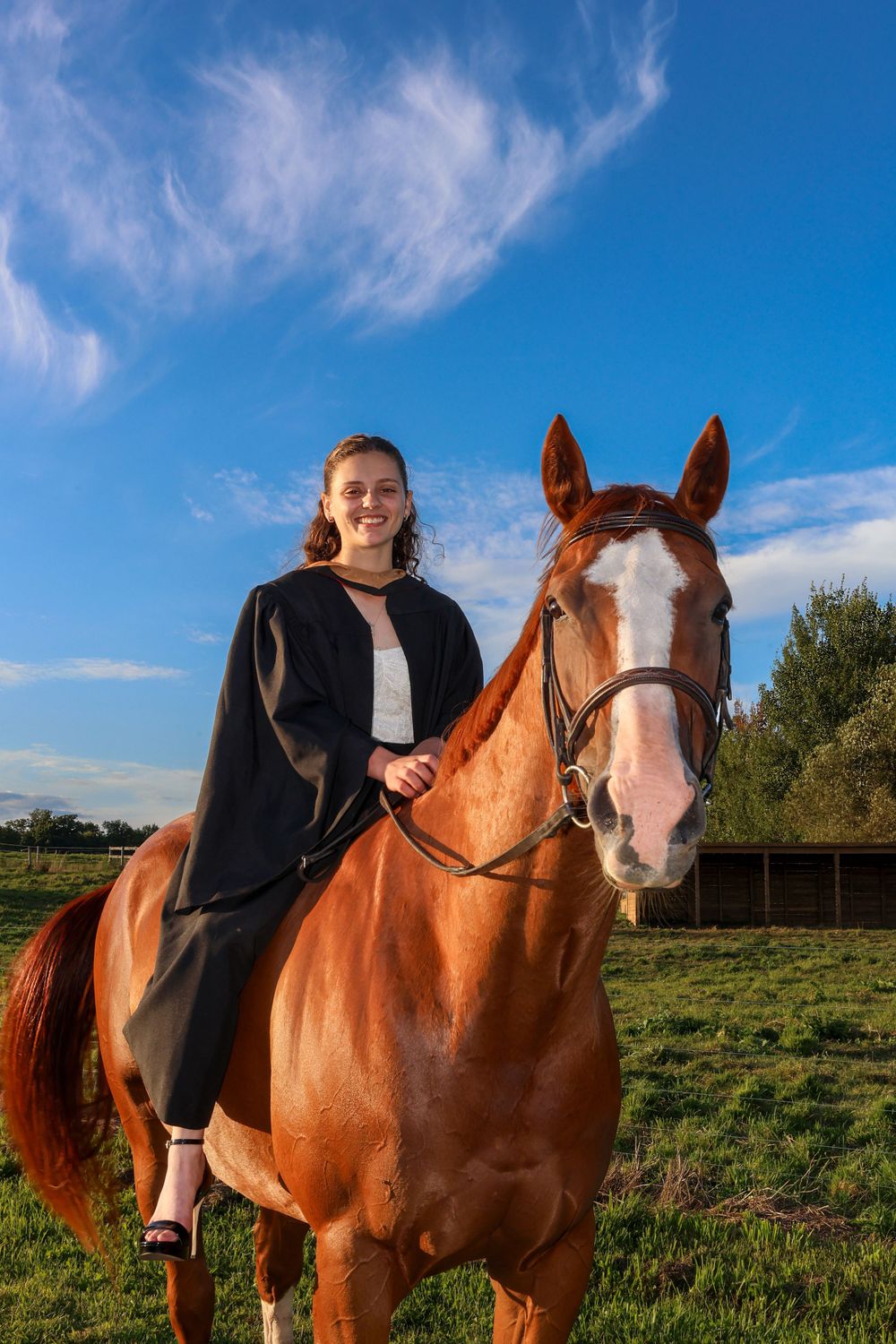Girl on horse in sunlight