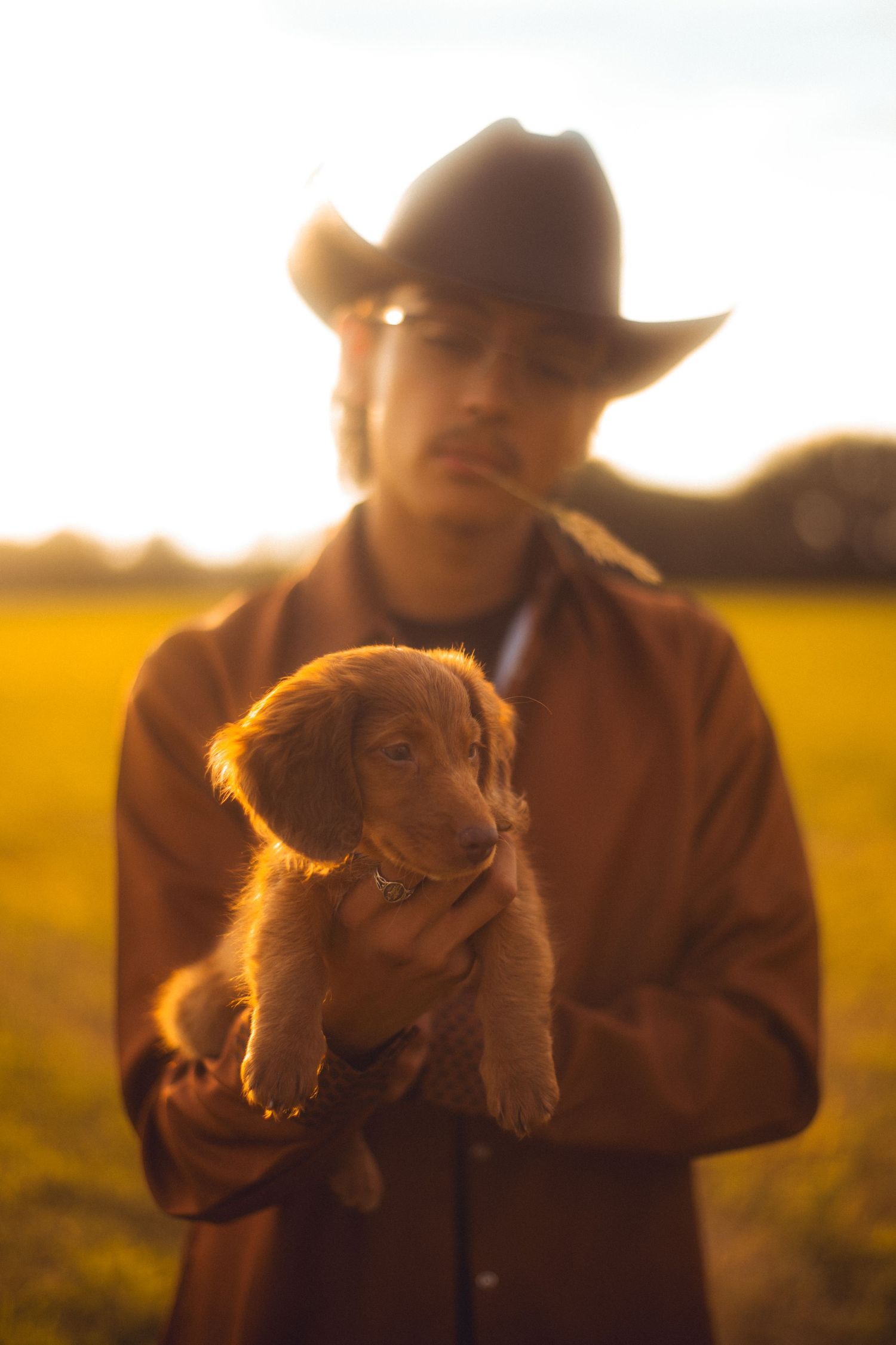 Portfolio Image