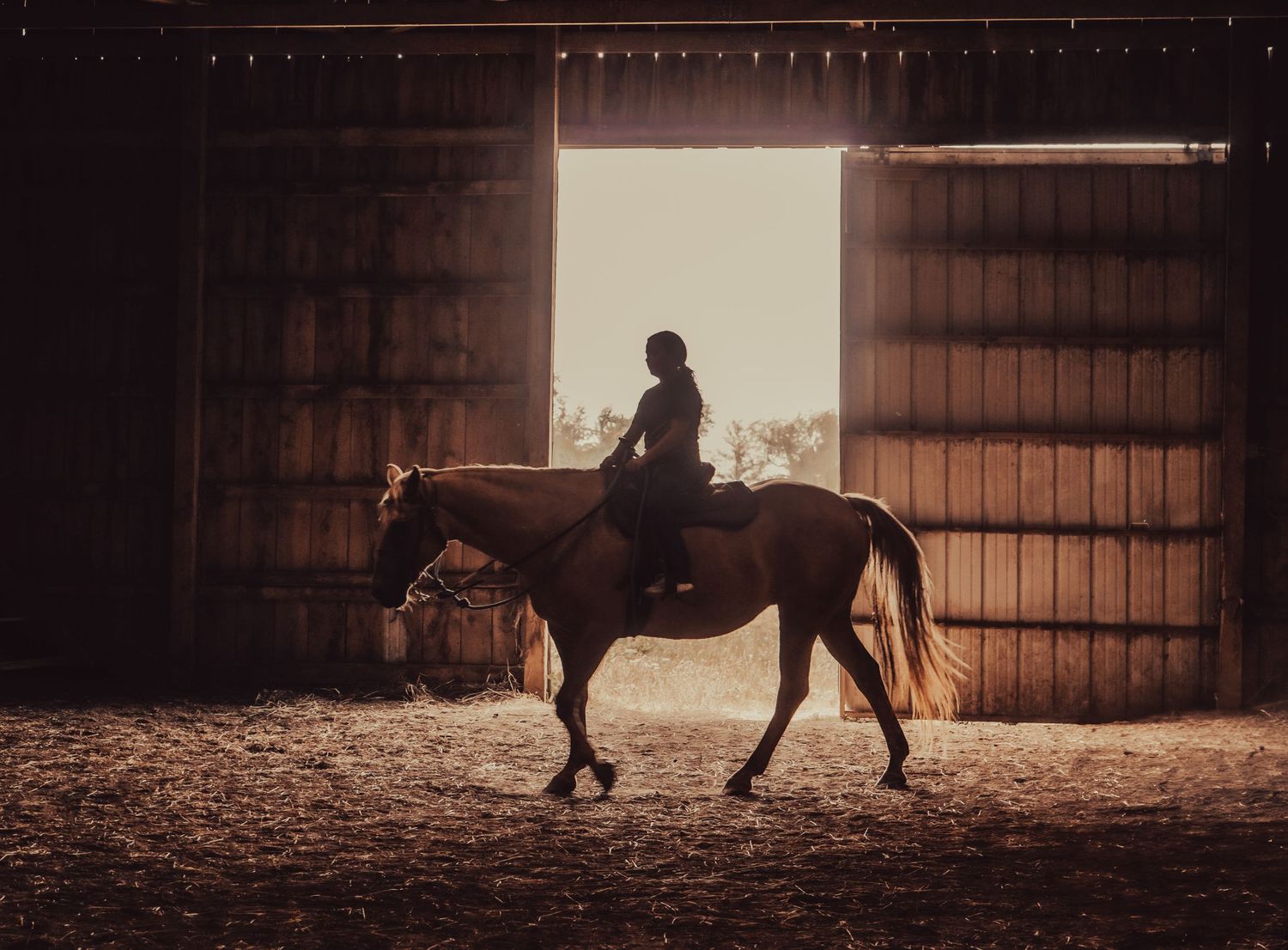 Silhouette of horse and rider in sunlit barn doorway.