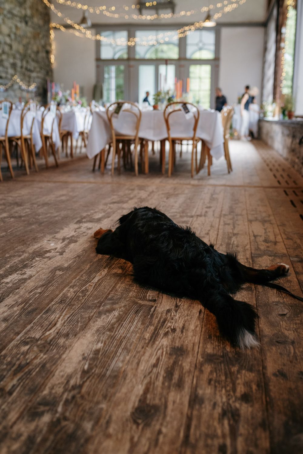 Black feathered wedding prop lying on rustic wooden floor of decorated reception hall with string lights and white tables.