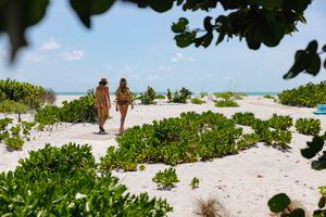 Two people walking on white sandy beach path with green coastal vegetation.