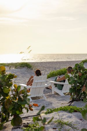 Beach chairs nestled among sea grape plants on sandy shore at dusk.