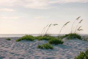 Serene beach landscape with sea oats and dunes against cloudy sky.
