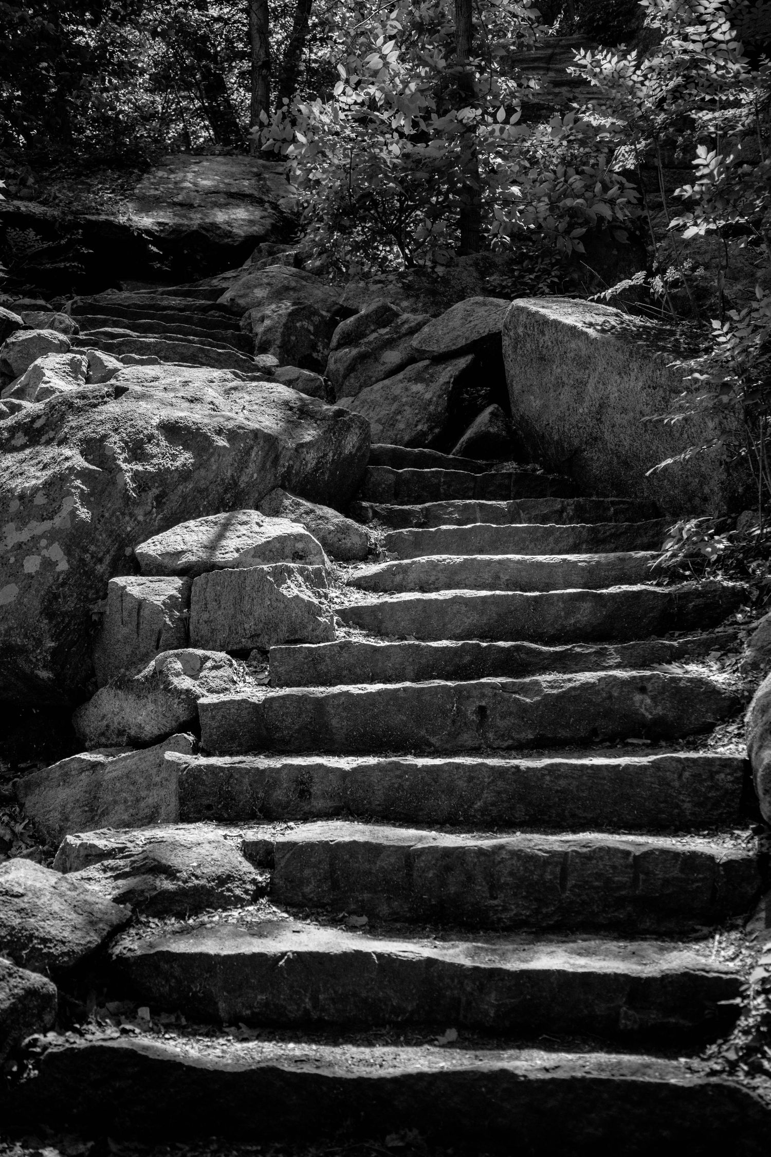 A photo of stairs found on a Bear Mountain State Park. Photo by Newburgh based photographer Sasha Pierre-Louis