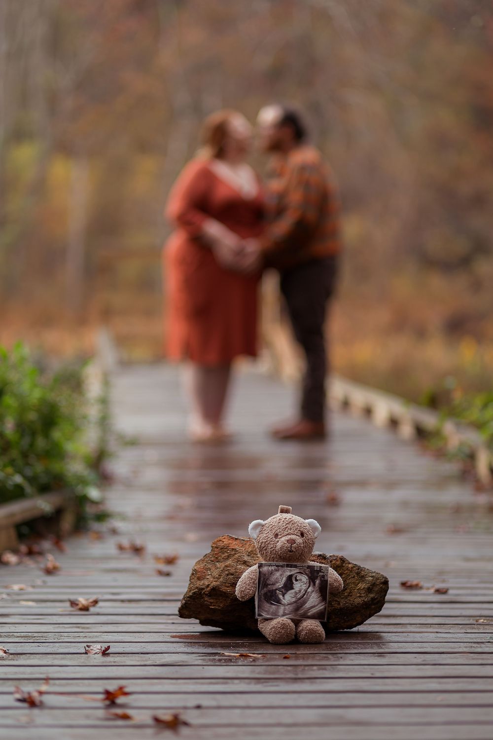 Maternity session detail photo featuring a teddy bear on a boardwalk during an autumn shoot in Greenville, SC.